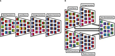 From wild to mild and back again: envisioning a new model of crop improvement strategies